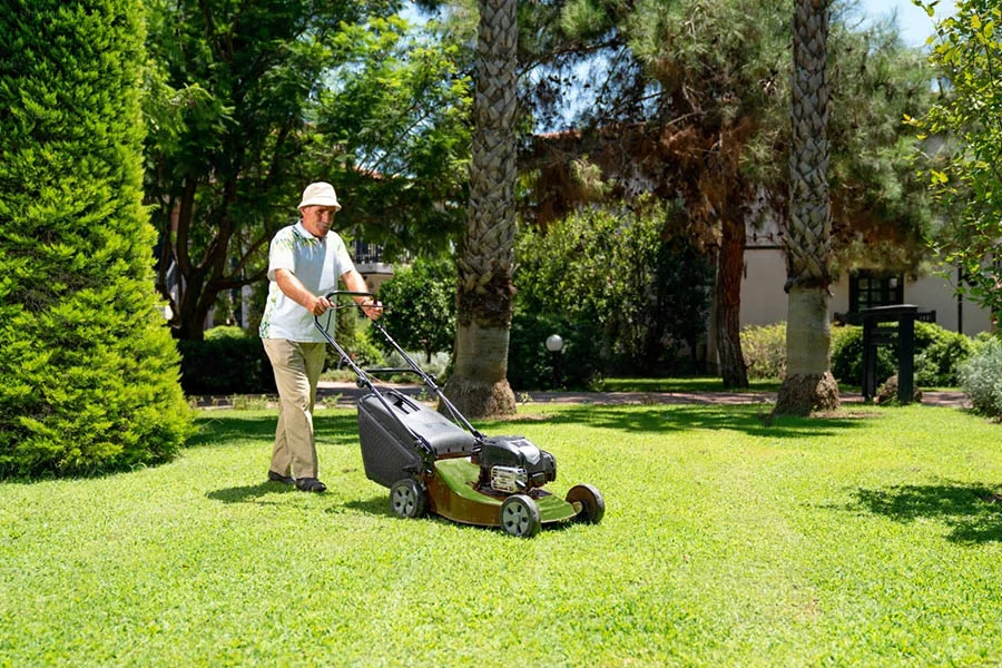 best electric lawn mower for small lawns